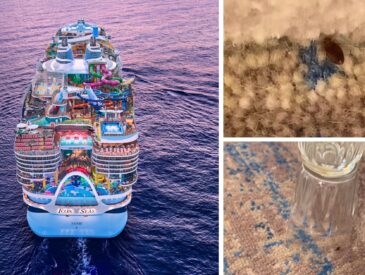 Bed bugs found on Icon of the Seas