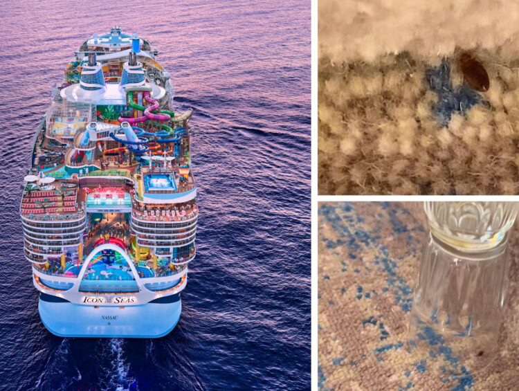 Bed bugs found on Icon of the Seas