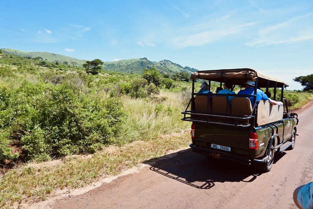 African safari excursion during a cruise