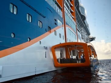 Celebrity Beyond Magic Carpet