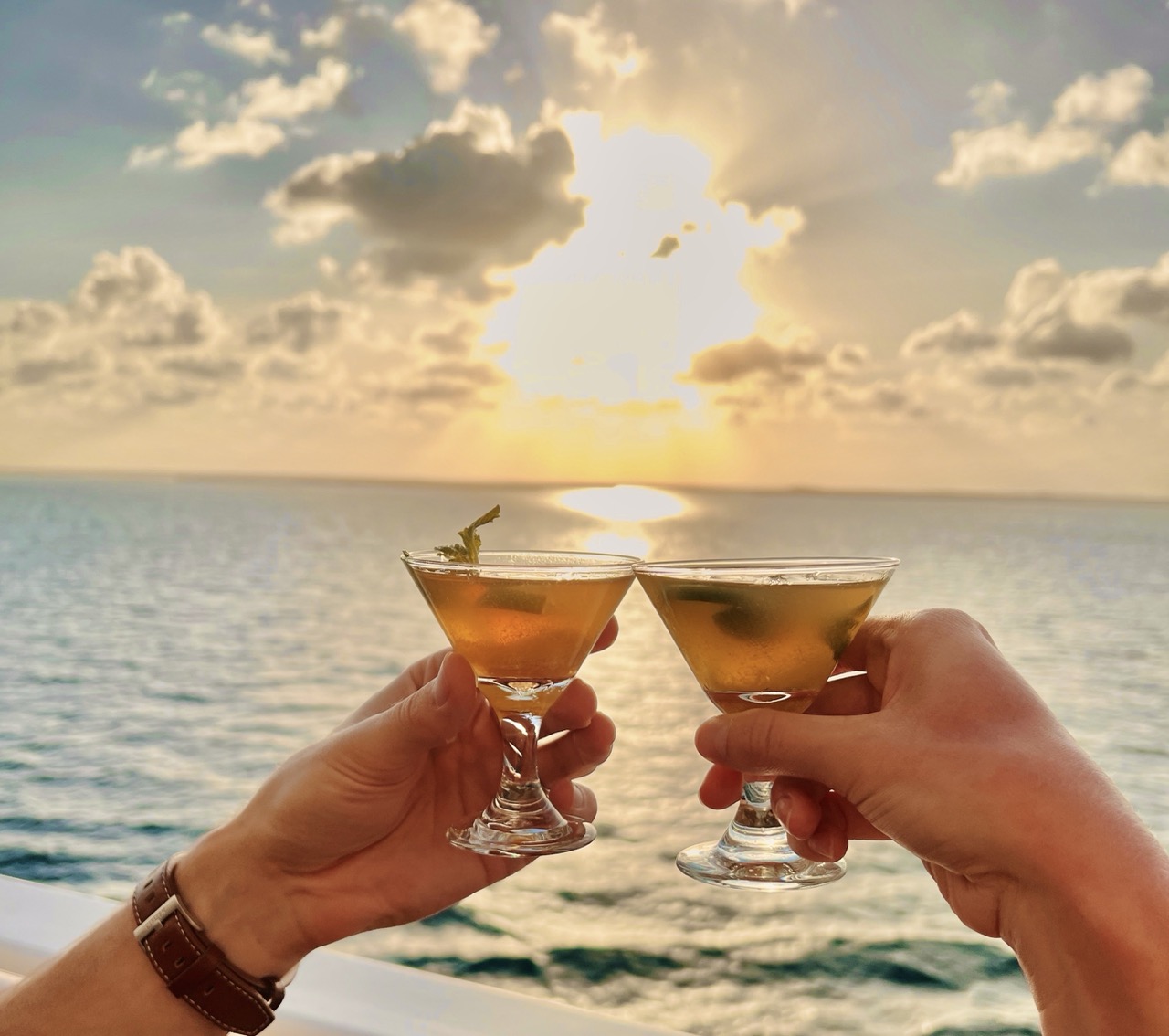 Norwegian Cruise Line Martini Cheers