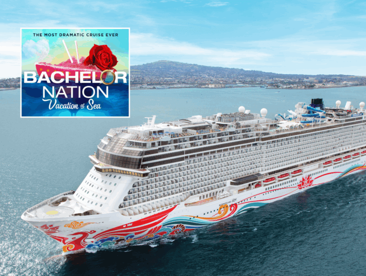 Bachelor Cruise at Sea - NCL Joy