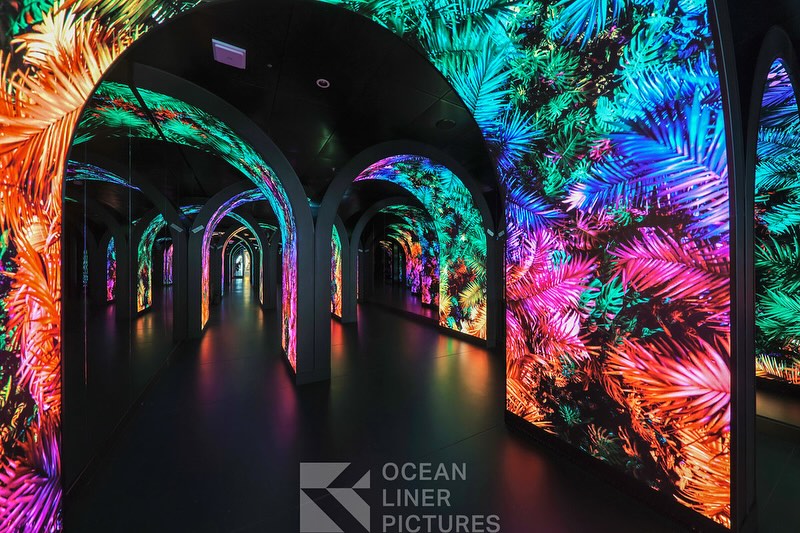 Celebrity Xcel LED Walkway
