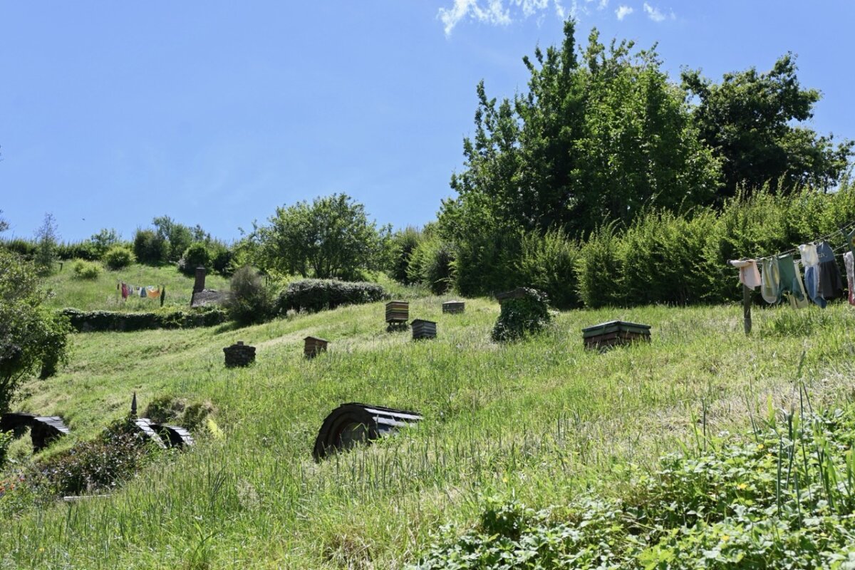 Hobbiton Movie Set homes
