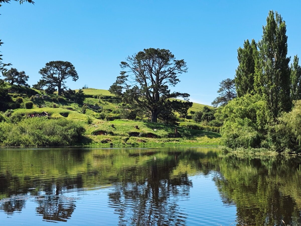 Hobbiton Tour with Shore Excursions Group from Auckland