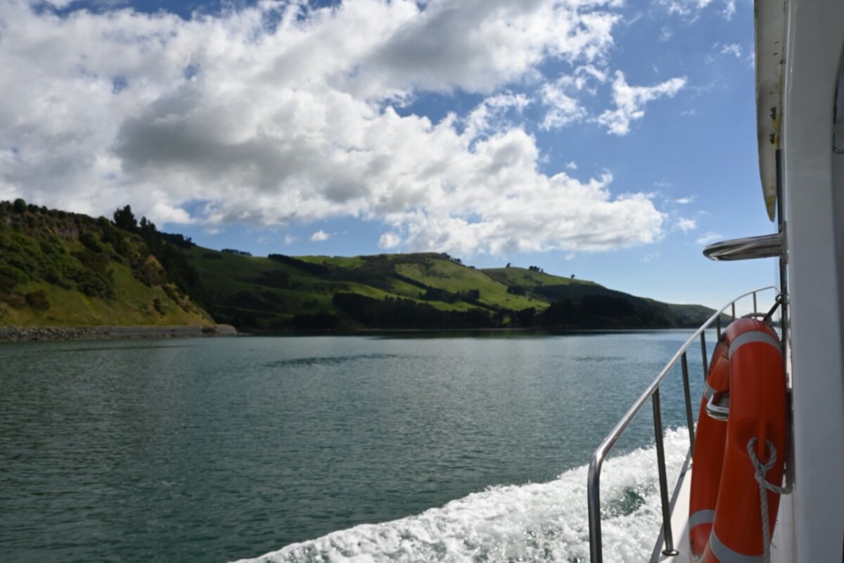 Shore Excursions Group Tour in New Zealand