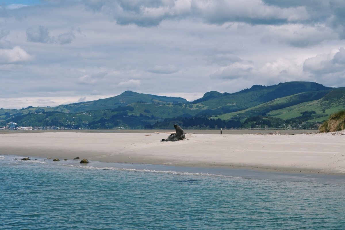 Shore Excursions Group Tour in New Zealand