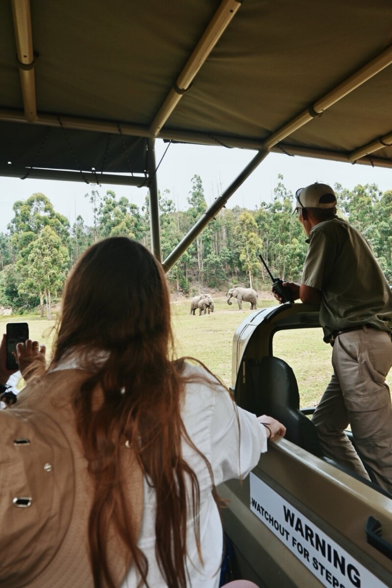 Africa Safari Outfit: What to Wear Women