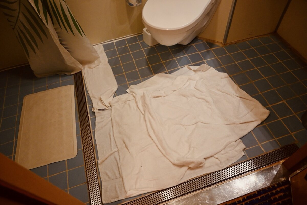 Carnival Sunshine flooded bathroom floor