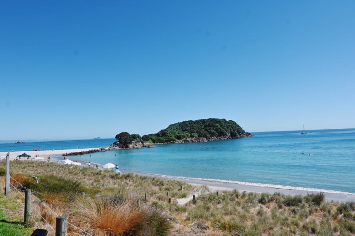 Tauranga New Zealand Cruise Excursion