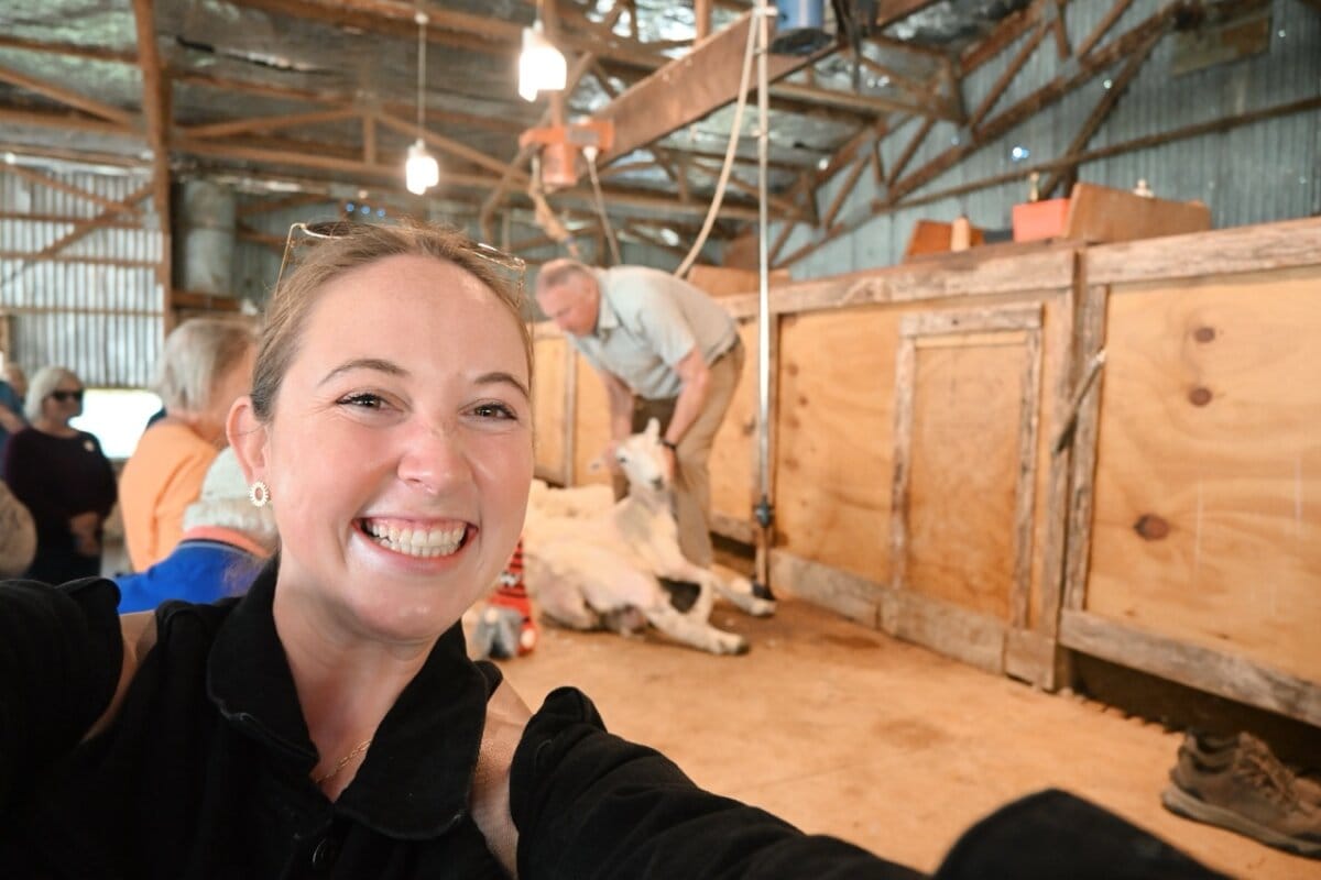 Canterbury Sheep Farm Cruise Excursion New Zealand