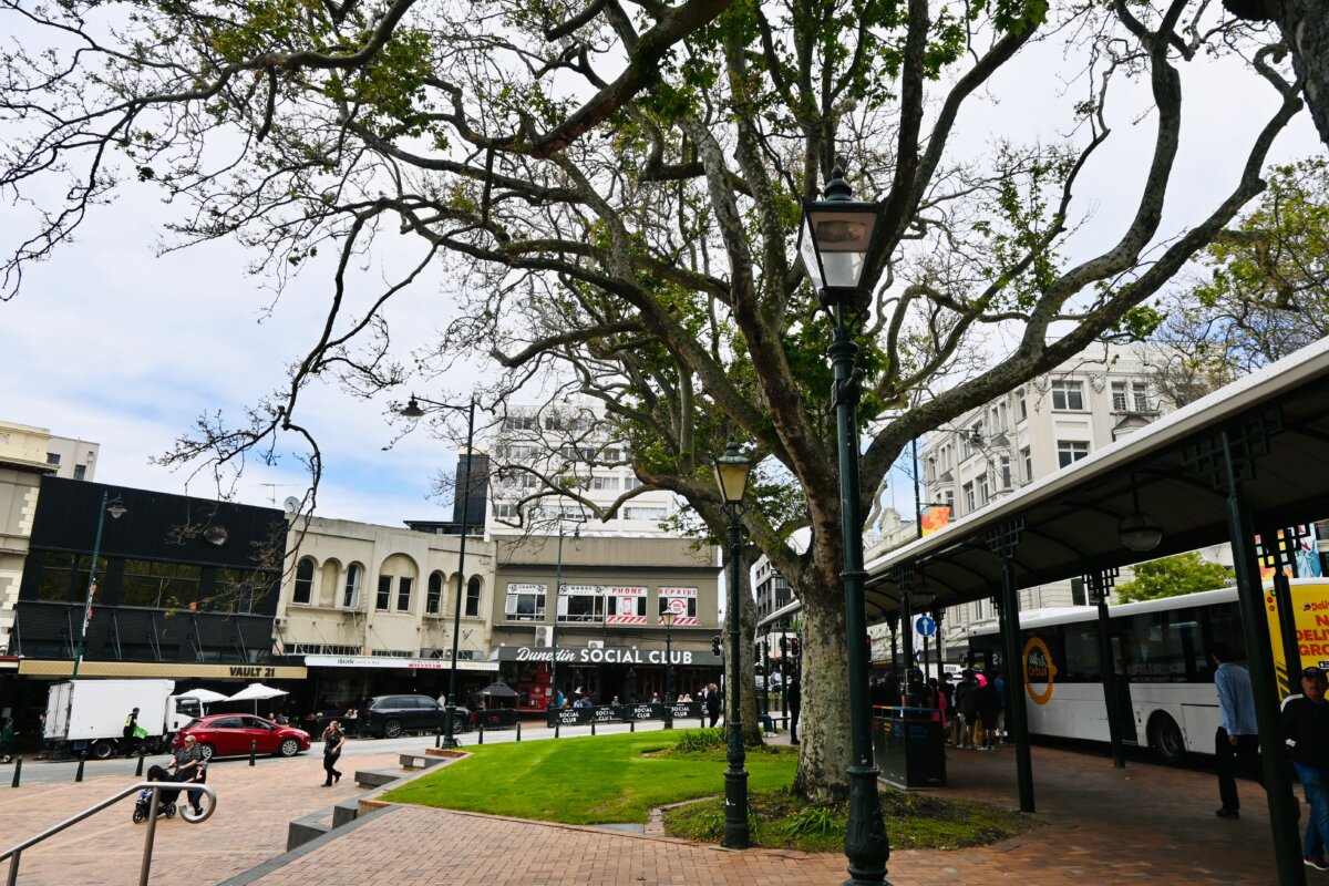 Dunedin City Centre