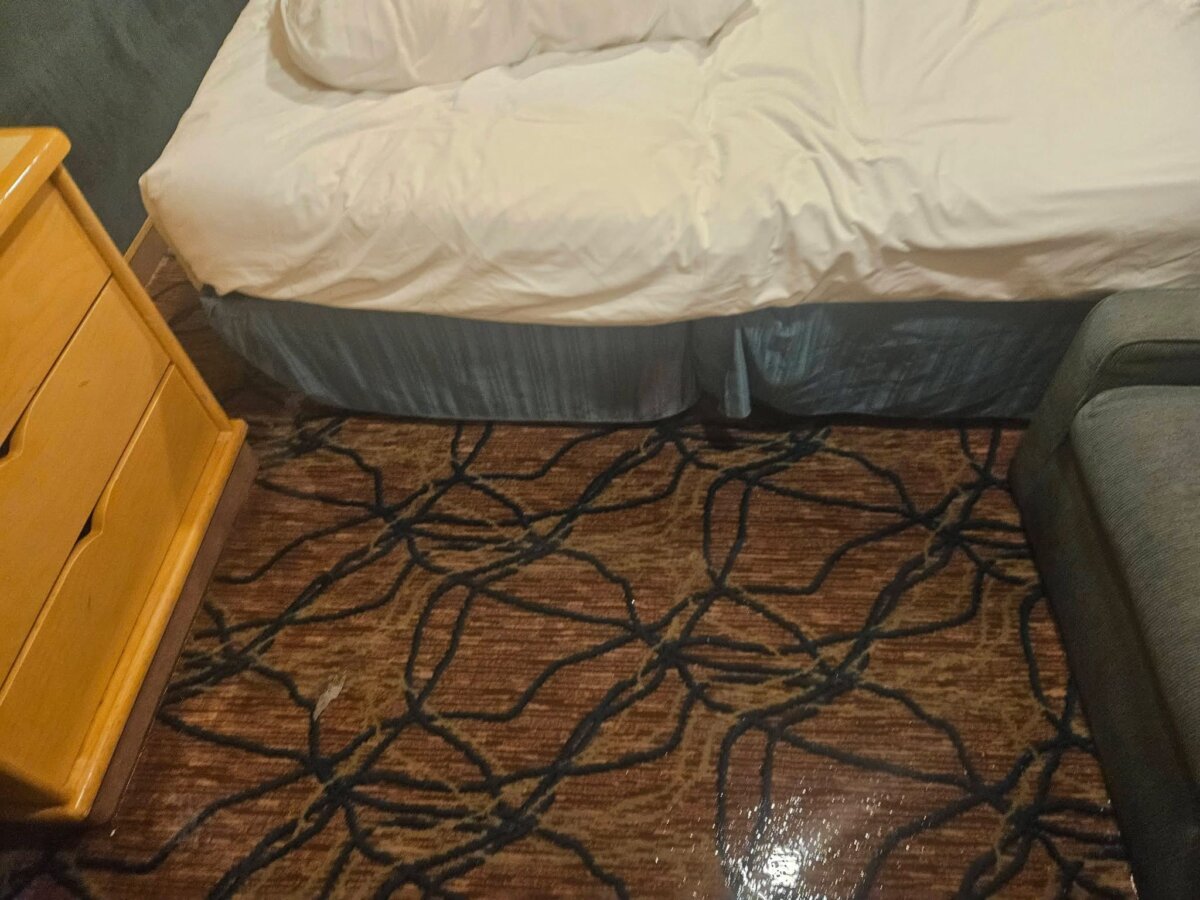 Flooding on Enchantment of the Seas from broken window