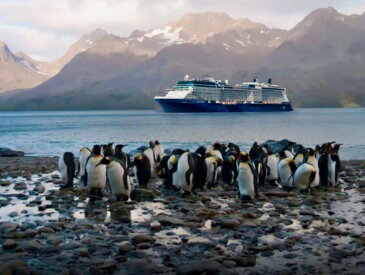 Celebrity Equinox Antarctica cruise