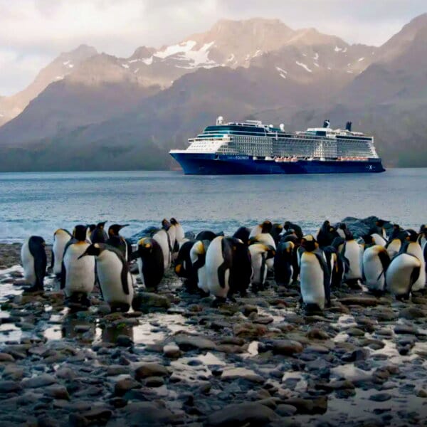 Celebrity Equinox Antarctica cruise