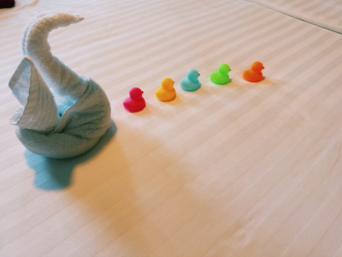 Hiding ducks on cruise ship