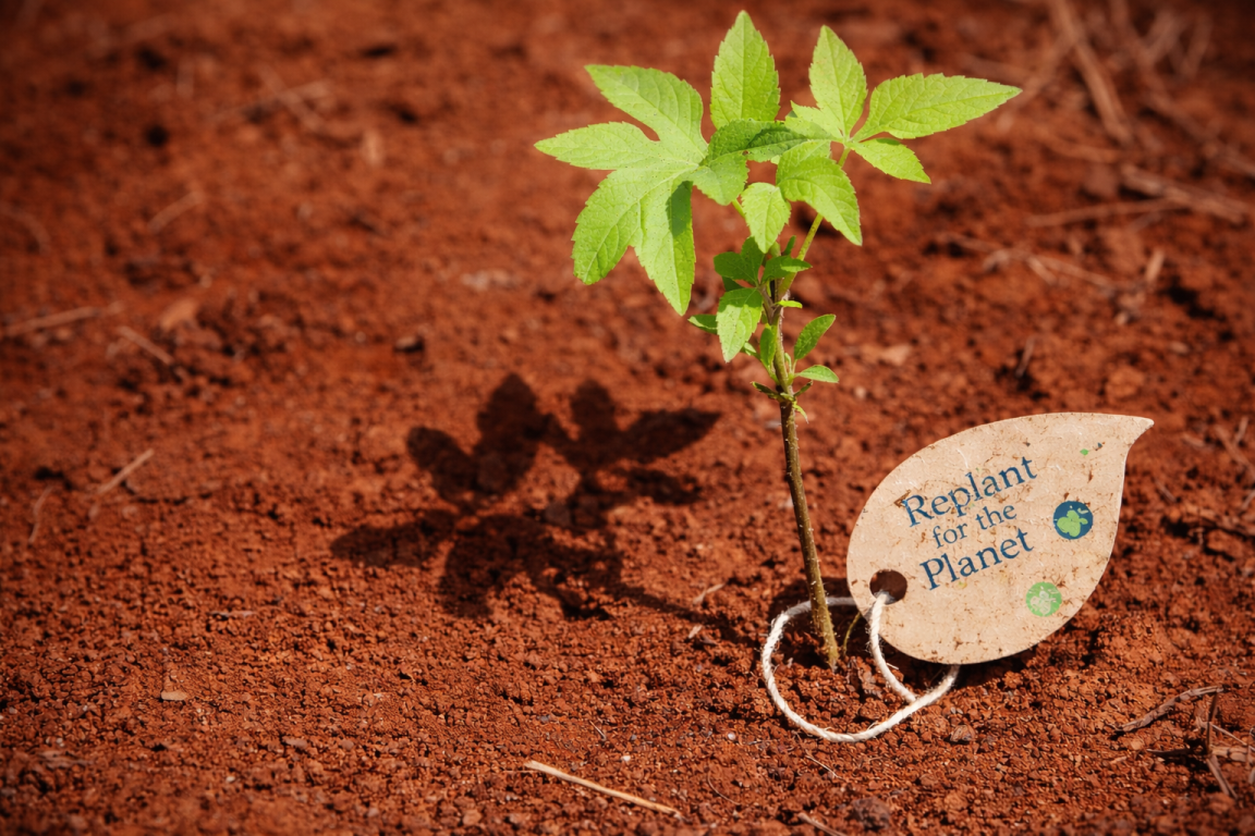 Celebrity Cruises Galapagos stewardship