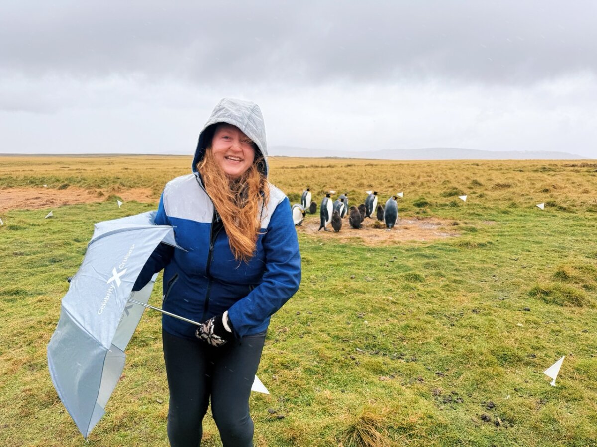Celebrity Cruises Umbrella in Falkland Islands