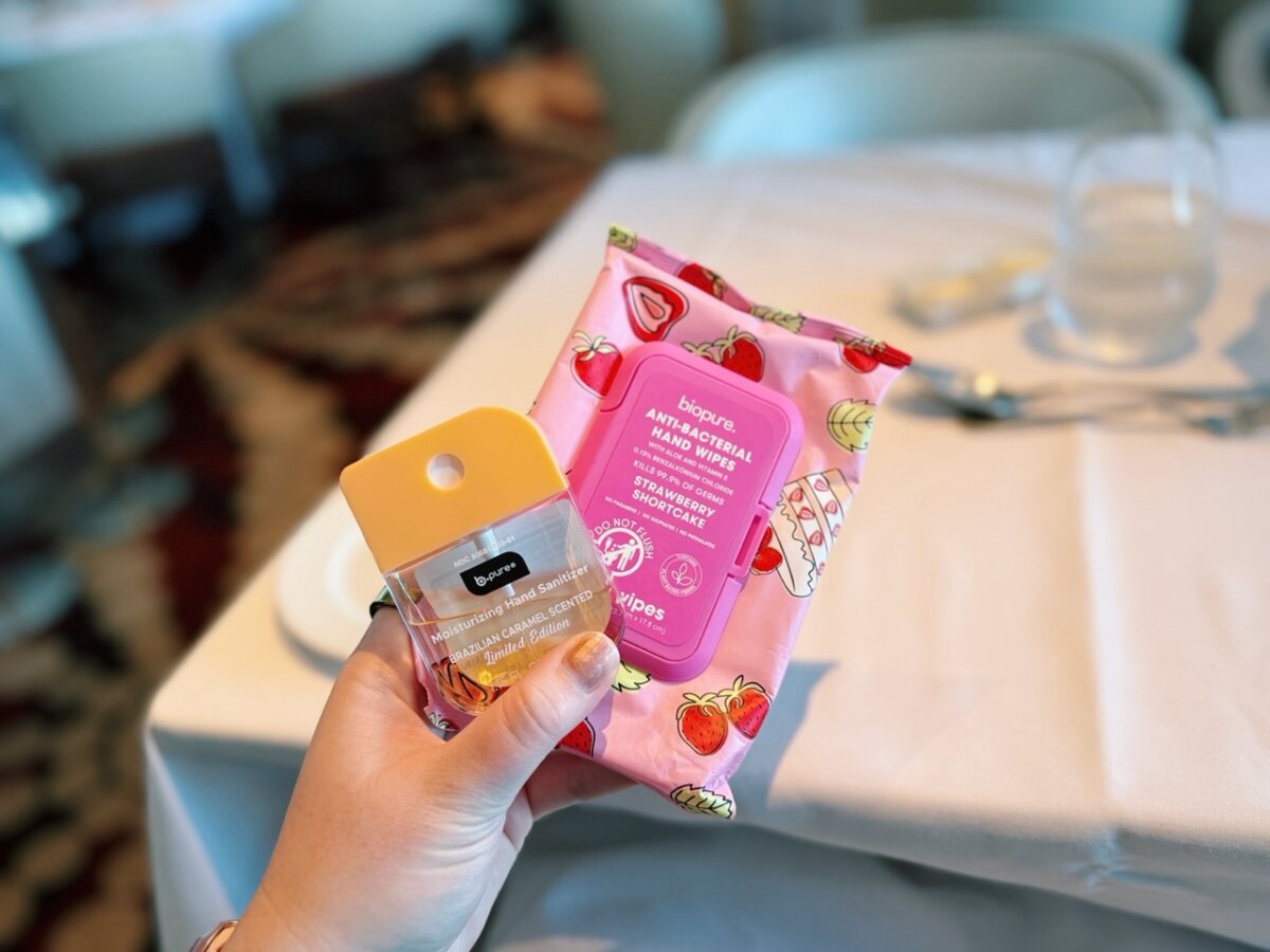 Dollar Tree Cruise Essentials sanitizer wipes and spray