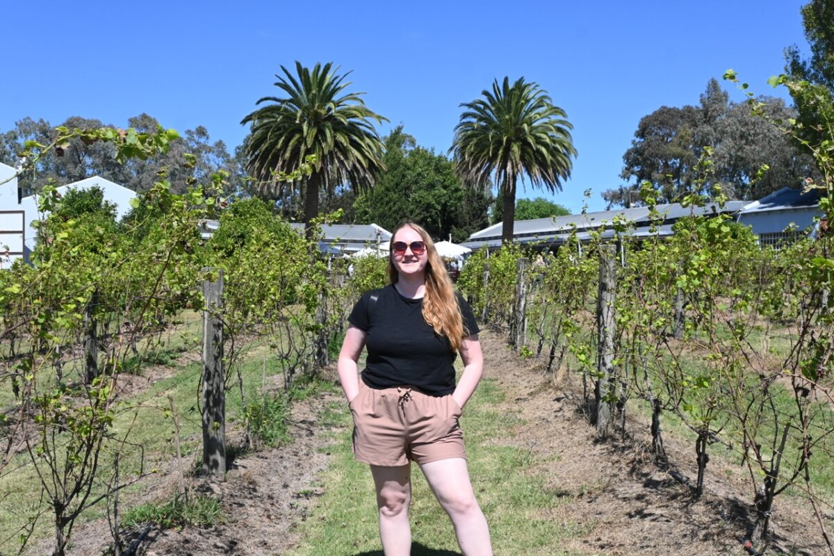 Punta del Este Winery Tour Shore Excursion