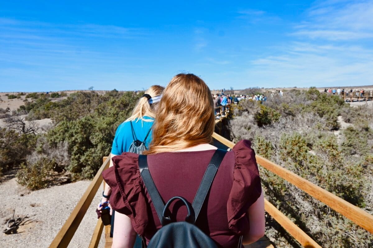 Punta Tombo Shore Excursion