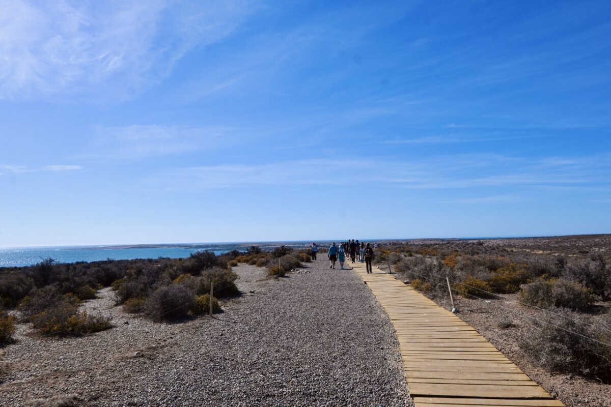 Punta Tombo Walkway Shore Excursion