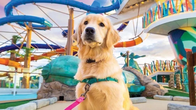 Sailor Chief Dog Officer on Royal Caribbean