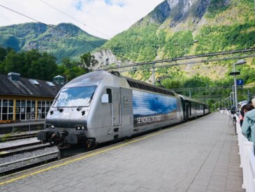 Flam Railway train Cruise port