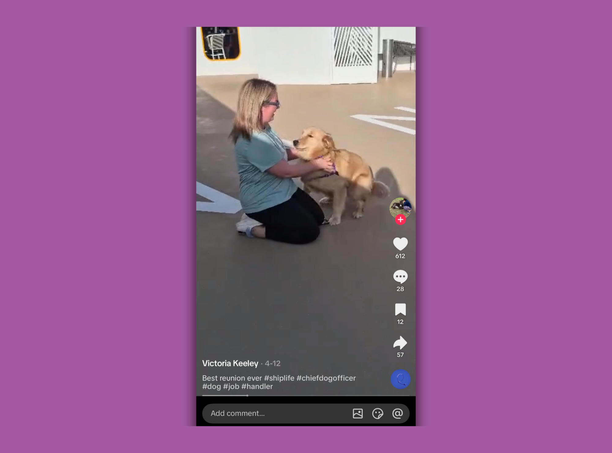 Sailor Chief Dog Officer Victoria Keeley TikTok