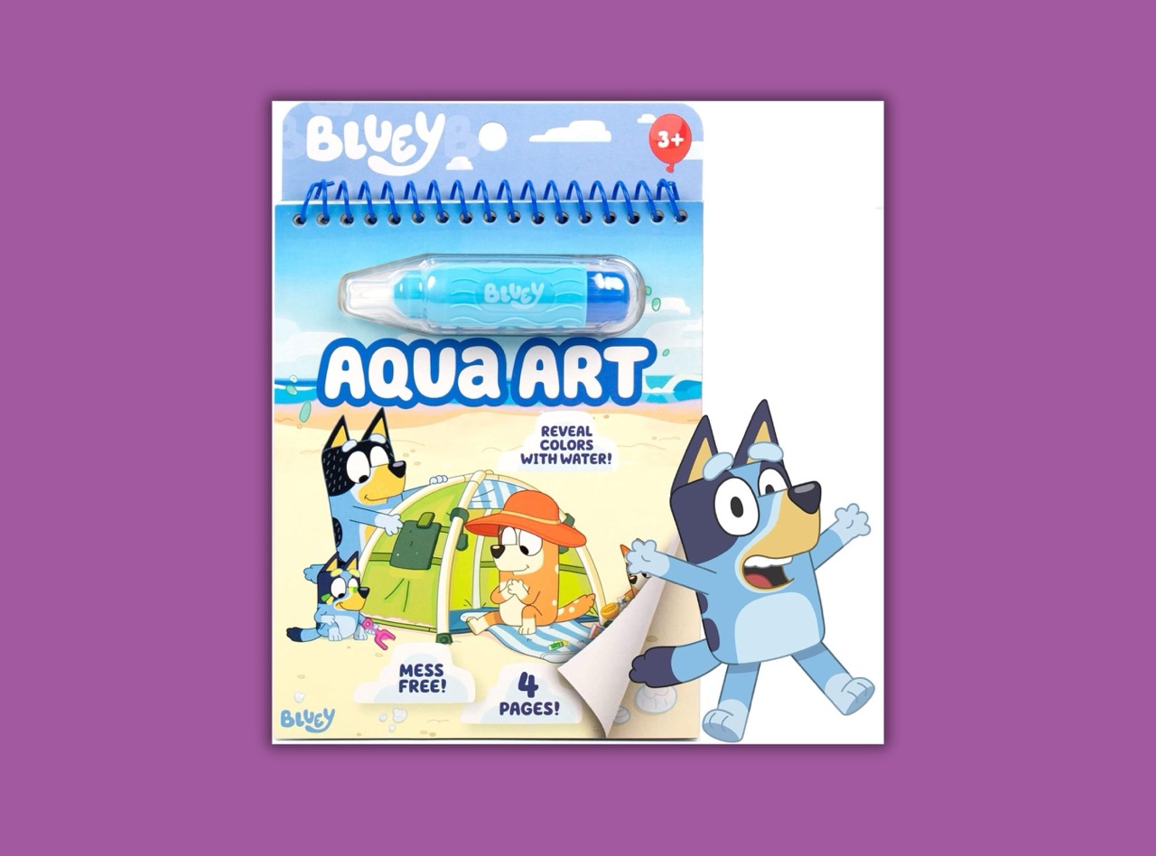 Bluey entertainment for disney park